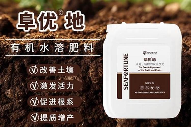 在农村刚刚开垦出一片新菜地,有什么方法可以培养肥力？