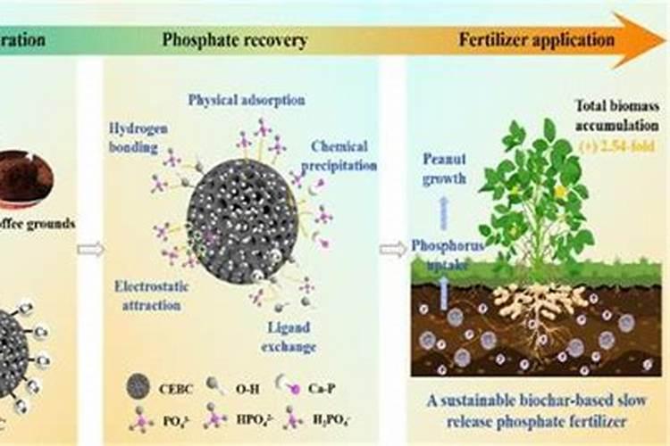 土壤解磷最佳方法