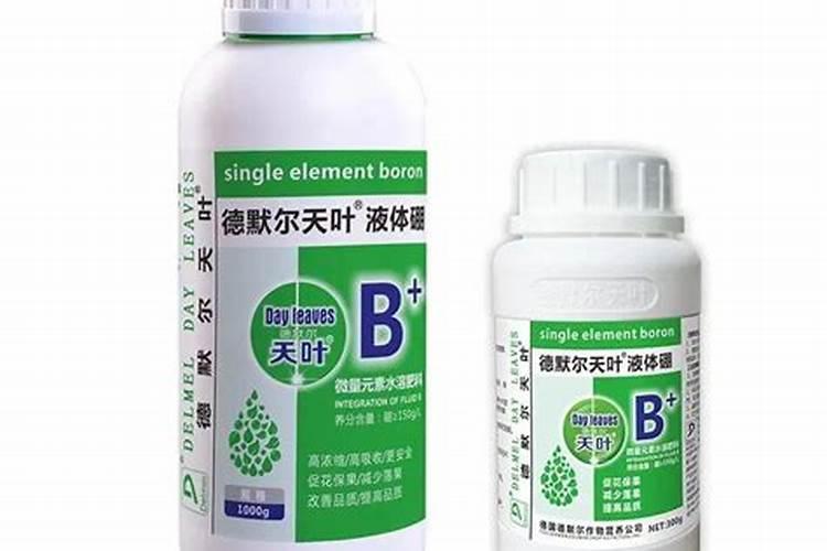 大棚樱桃苗的温度问题