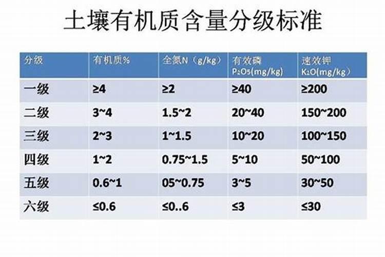 葡萄上主要使用哪些肥料？