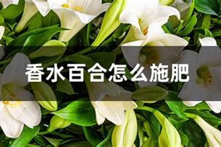 天然钾肥有哪些