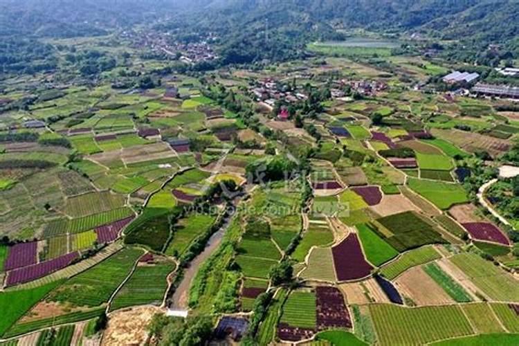 中国最好的果树叶面肥有哪些？