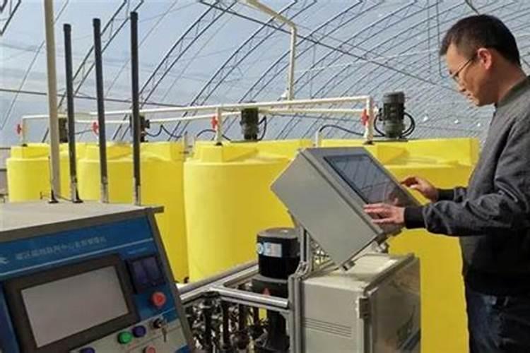 生姜喷施磷酸二氢钾的作用