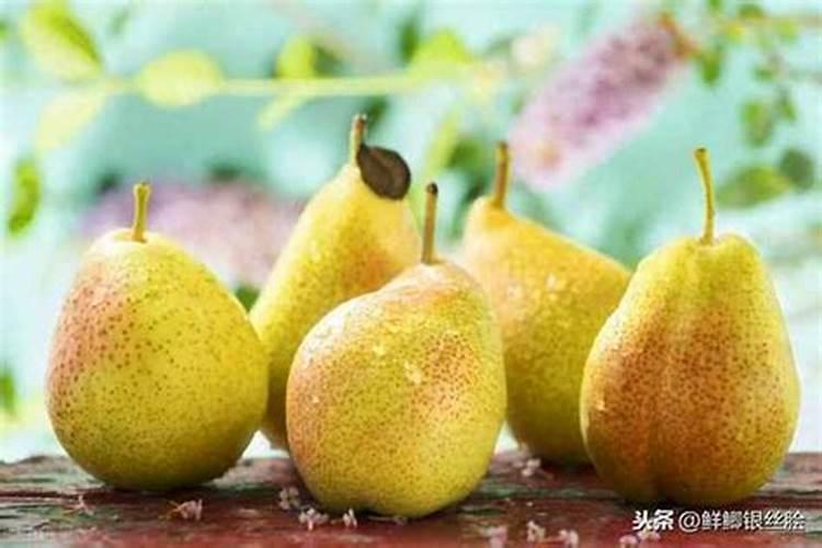 梨树在摘果前二十天用冲施肥管用吗