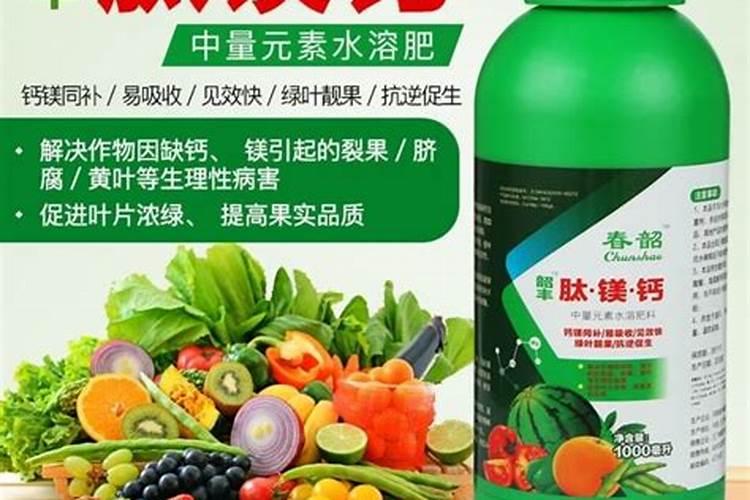 葵花缺钙用什么肥