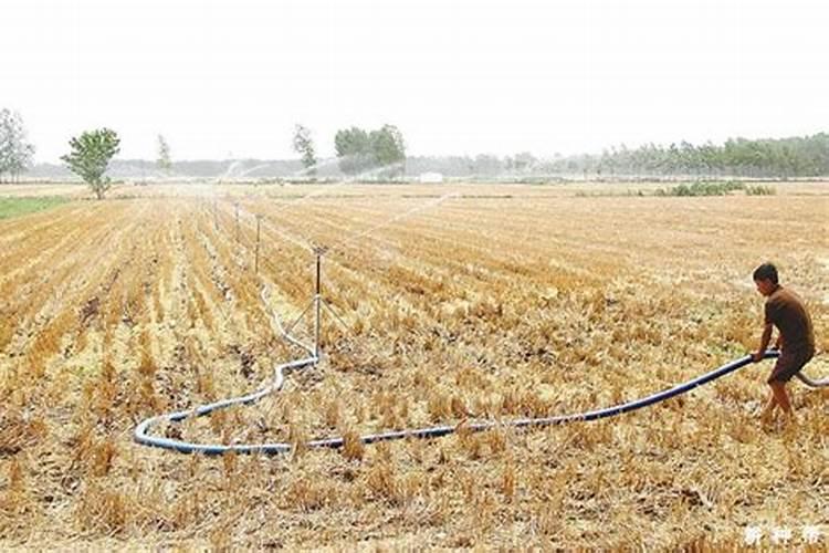 玉米什么时候追施肥最好