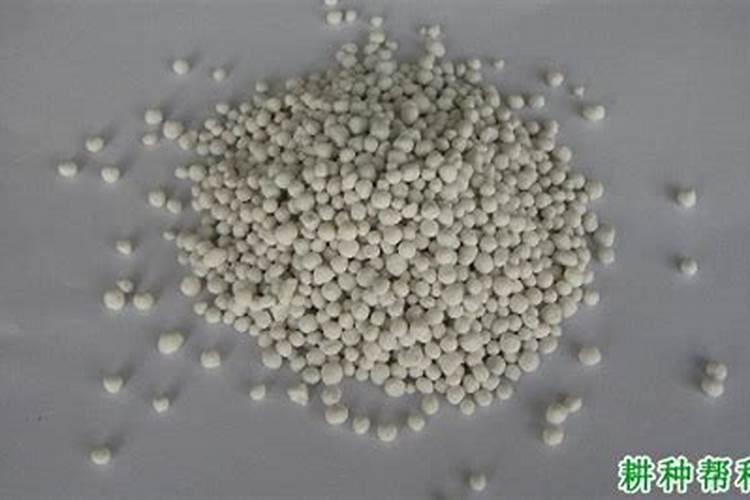 花生后期喷什么最饱满