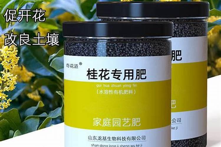 桂花施肥用什么肥料 四季施肥要点分享