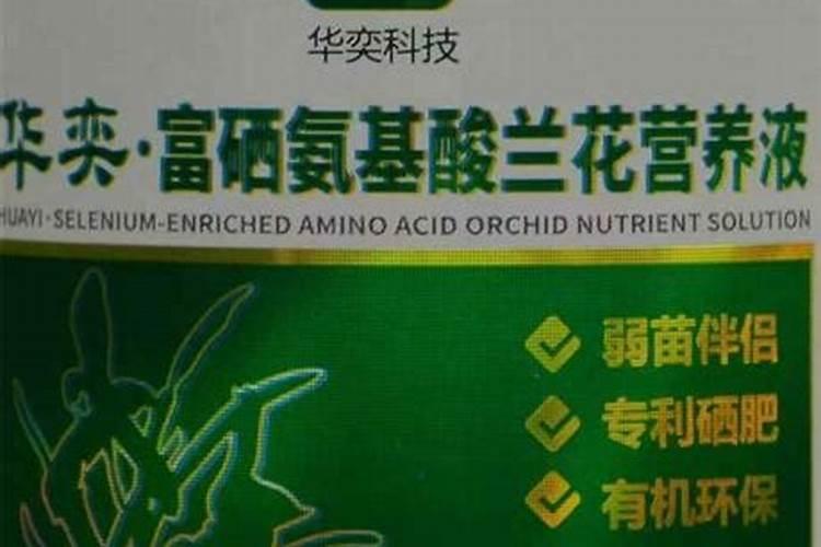 低蛋白吃什么食物好