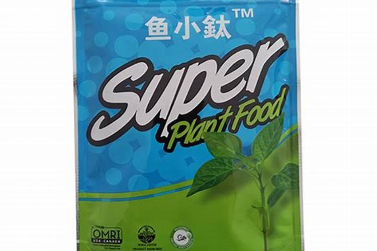 月季秋天可以重剪吗