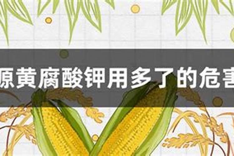 黄腐酸钾肥料的功效与作用