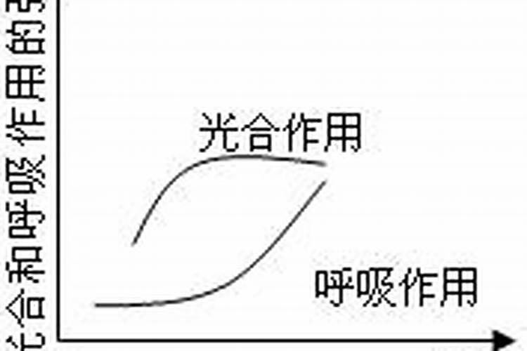 盆栽植物开花可以喷叶面肥吗