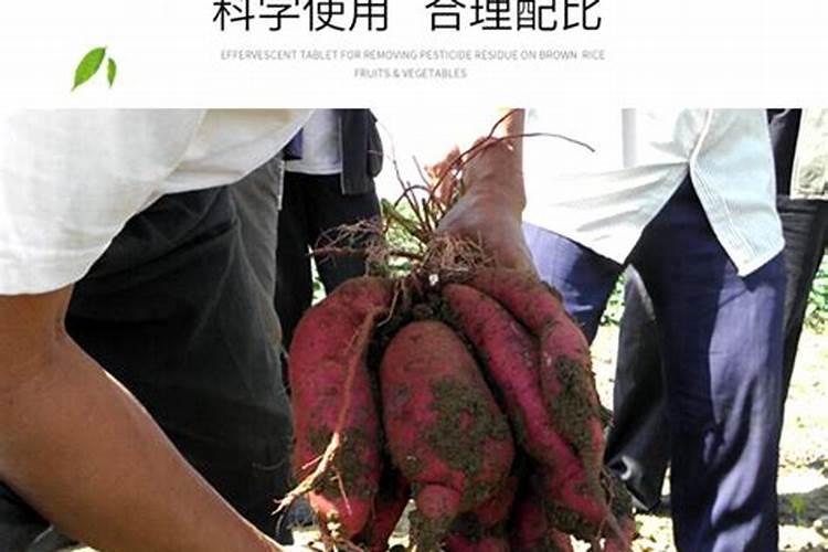 红薯控旺叶面肥哪种产品最好