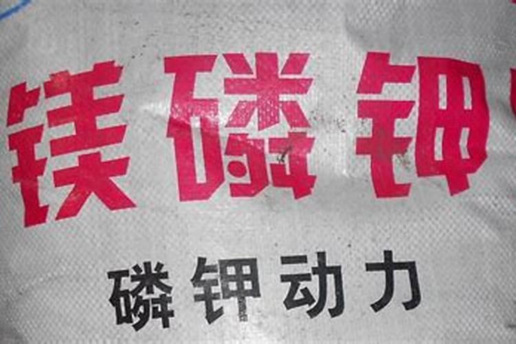 油葵施什么肥最好