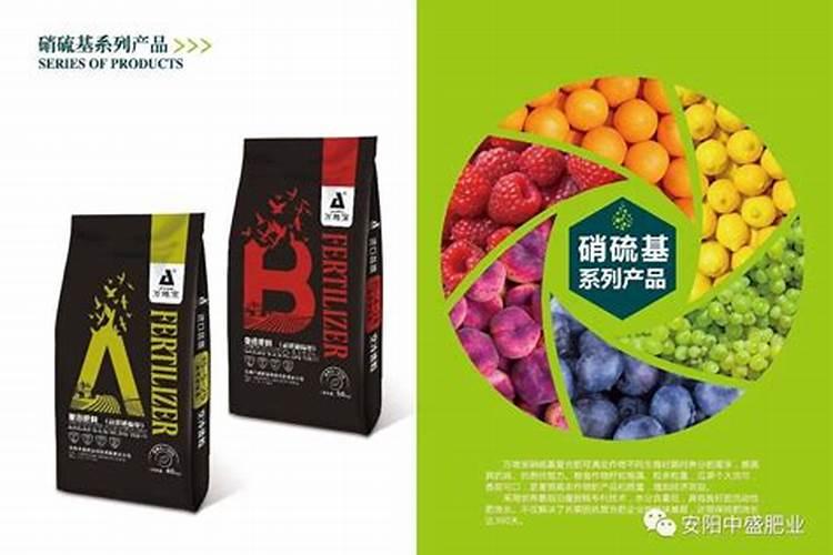 黄瓜秧什么时候育苗