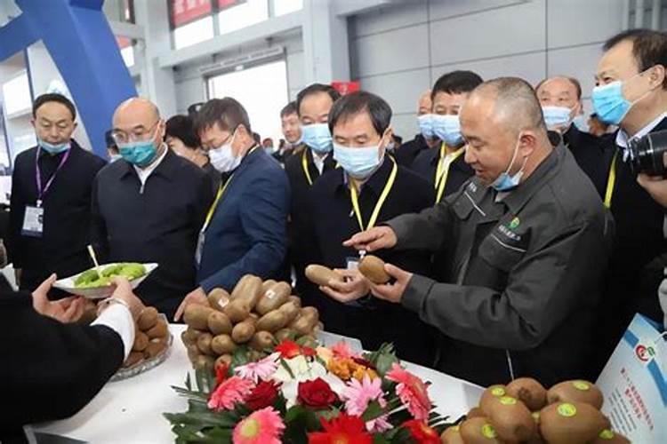 农村的高钾肥是什么肥料