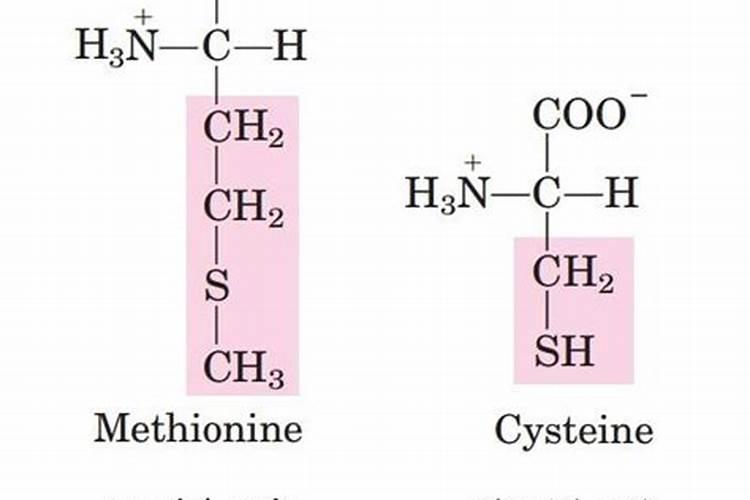 含硫氮肥对作物起什么作用