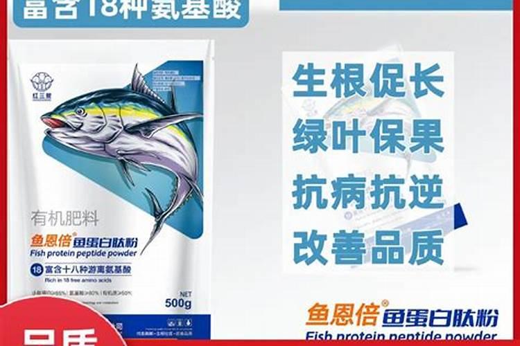 白兰花用什么肥料最好(白兰花怎么施肥长得快开花多)