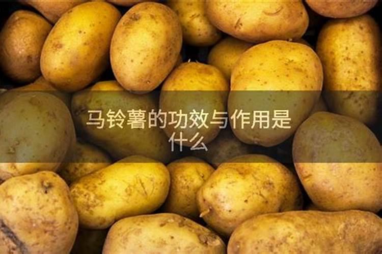 硅肥的施用范围？