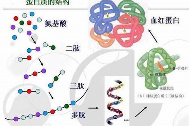 什么叫氨基酸水溶肥,含氨基酸水溶肥原料分析