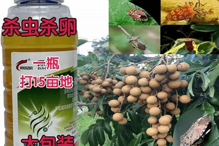 荔枝,龙眼生长期可以喷芸苔素吗？