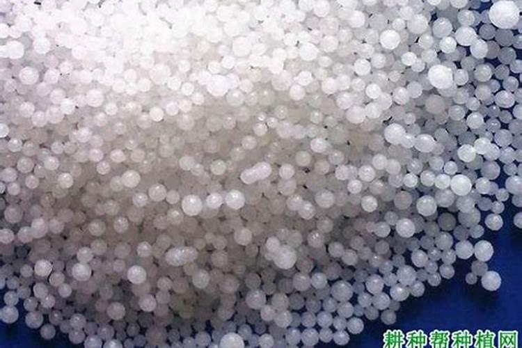 水稻分蘖期可以用硫酸锌和尿素叶片喷雾吗