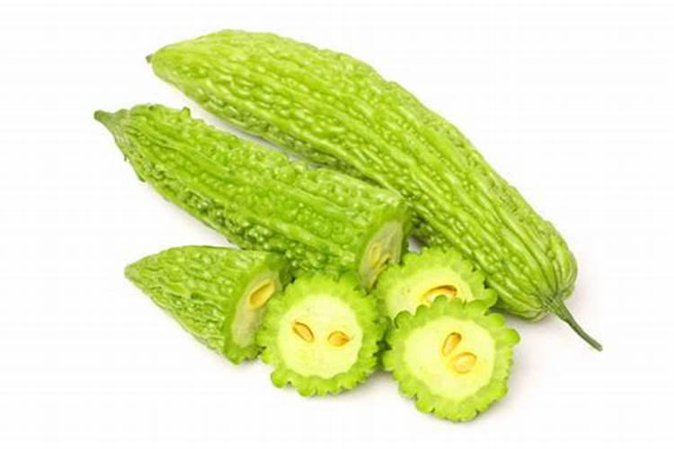 刚种下去的苦瓜苗怎么会死