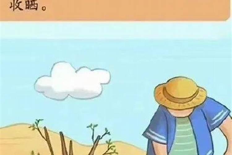 土豆开花后施什么肥料能提高产量