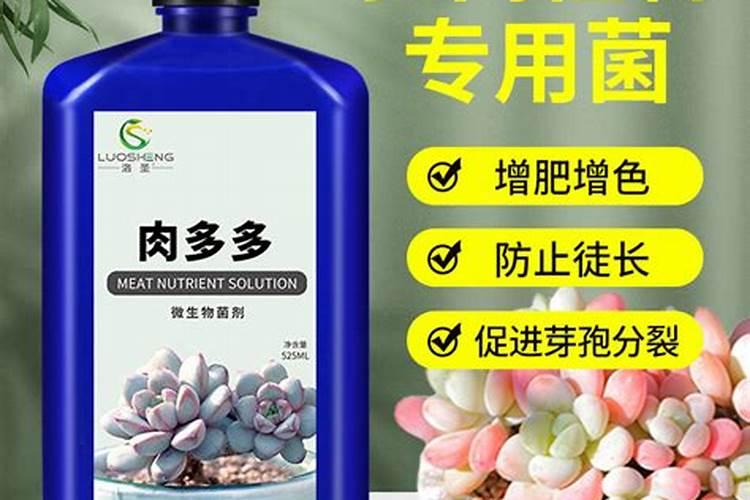 什么是稀土微肥技术？