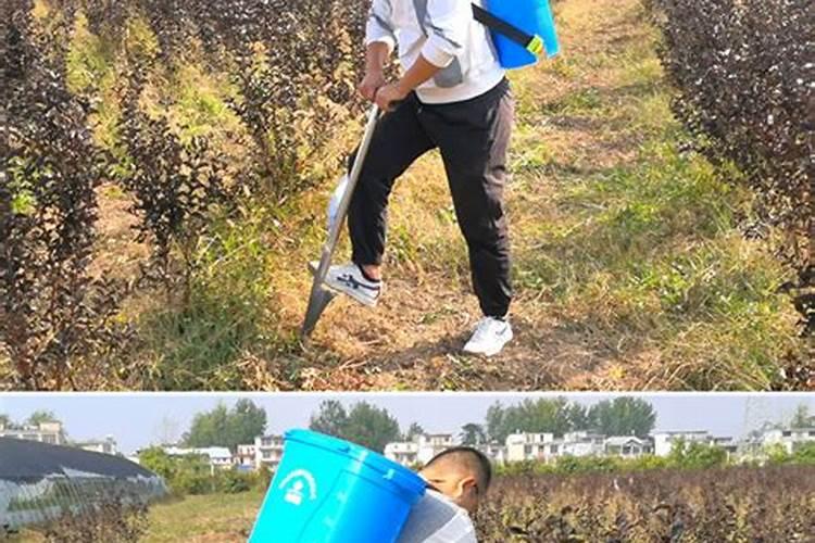 水溶肥料怎么使用