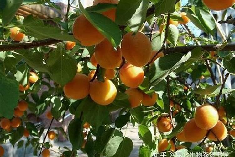 双氧水室内消毒方法