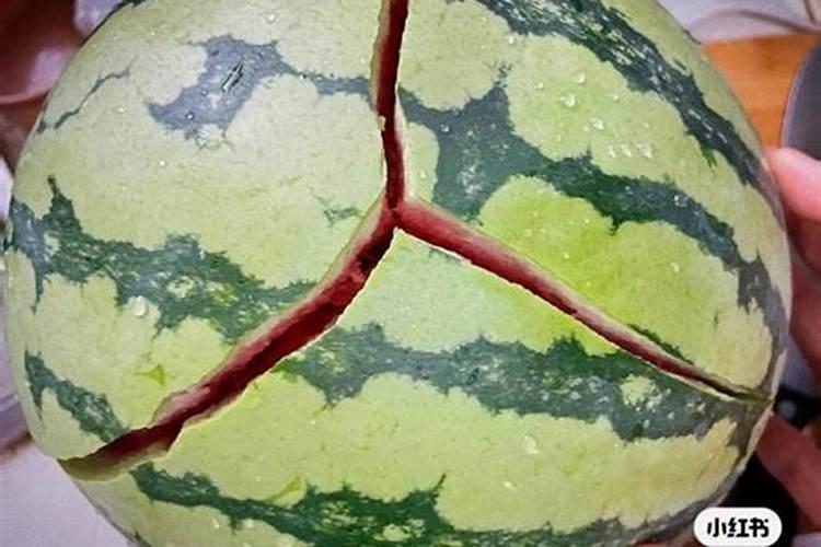 桉树如何施肥比较好