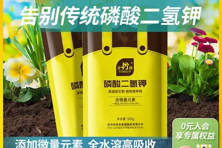 哪些花上尿素花肥好