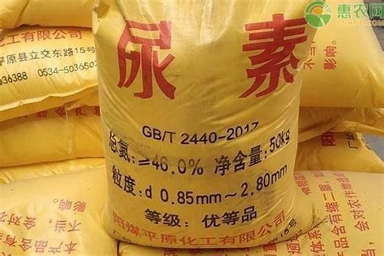 荔枝的合理施肥方法