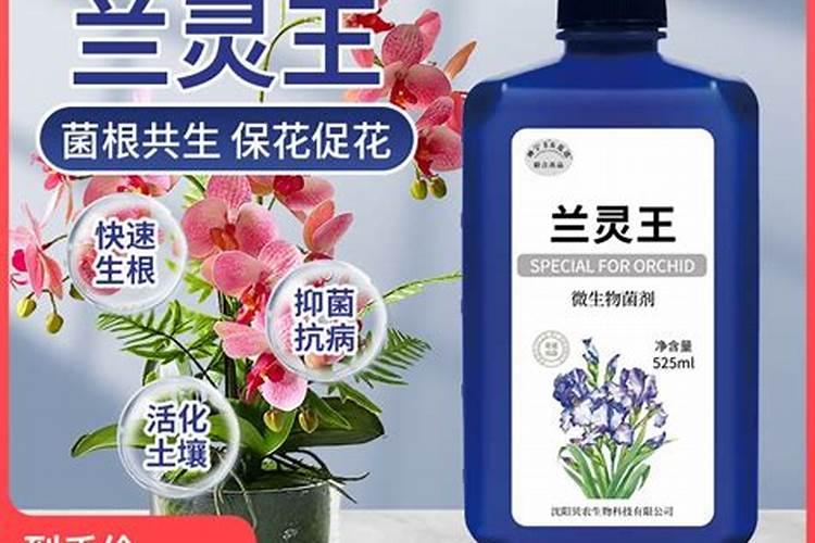 养花买什么肥料最好、绿植用营养液好还是肥料好