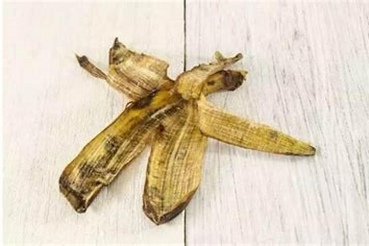 香蕉皮是属于氮肥还是钾肥