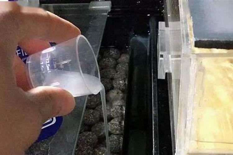 鱼缸水太肥要怎么处理合适