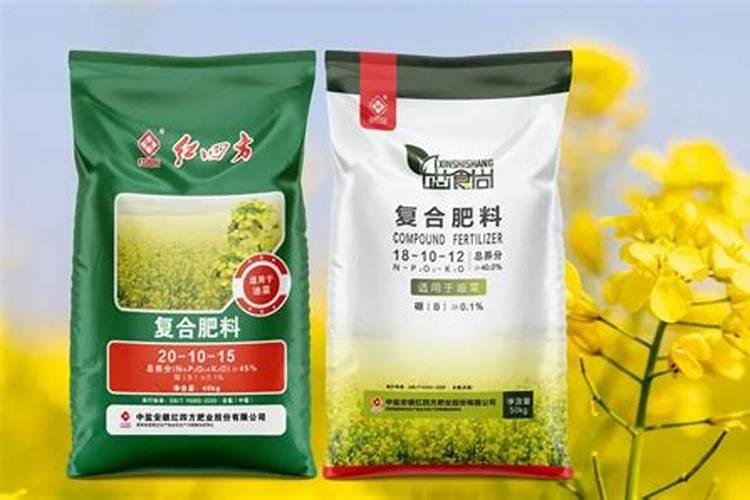 兰花艺草怎么养才长得好 兰花艺草如何养才长得好