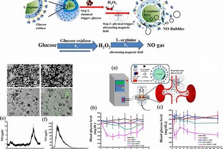 什么是氮肥什么是磷钾肥