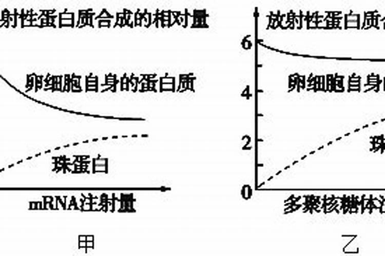 绿萝使用什么花肥