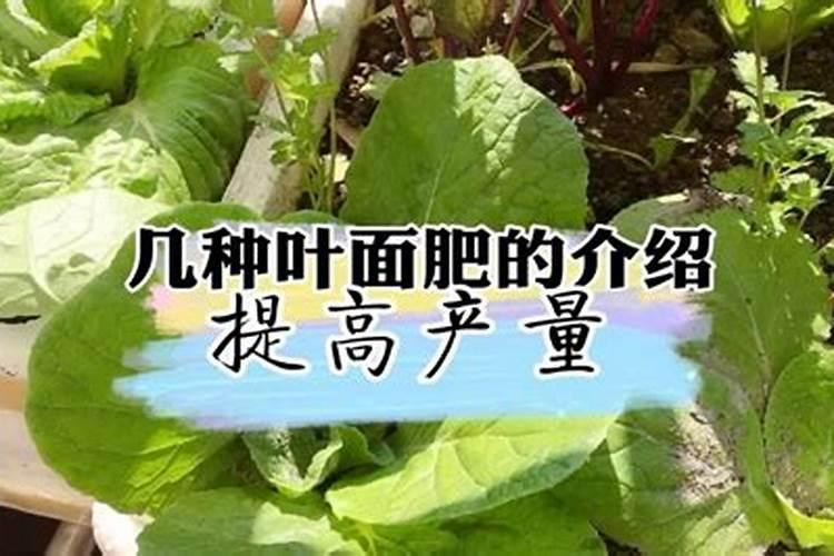 尿素可以浇菜吗
