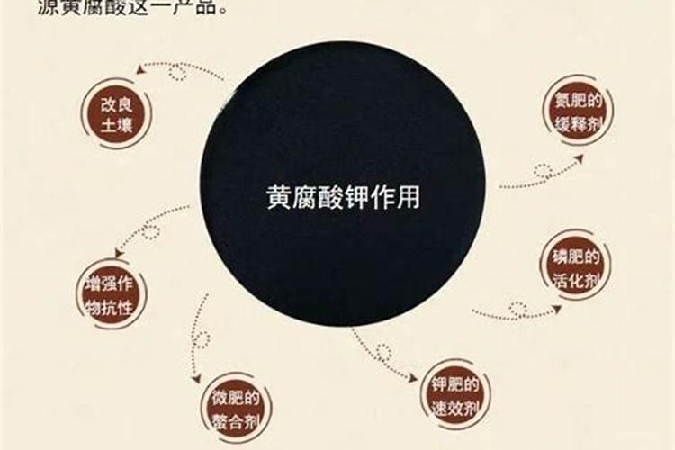 黄腐酸的作用是什么.黄腐酸的功能是什么