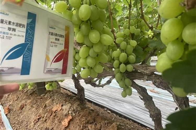 把土放入水中搅拌后静置现象