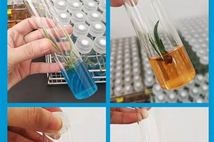 尿素撒施以后,可以直接浇水灌溉了吗？