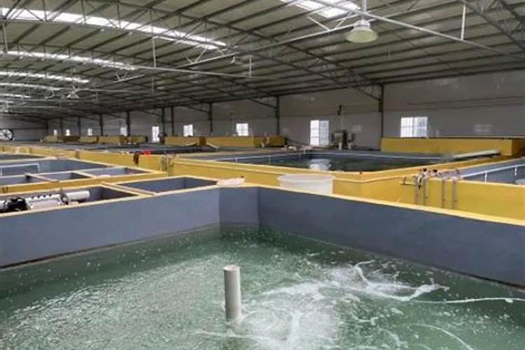 鱼蛋白肥料厂家前十名