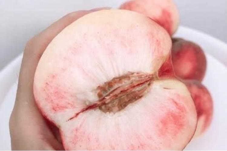 肥城桃于肥城的准确地址是哪里呀