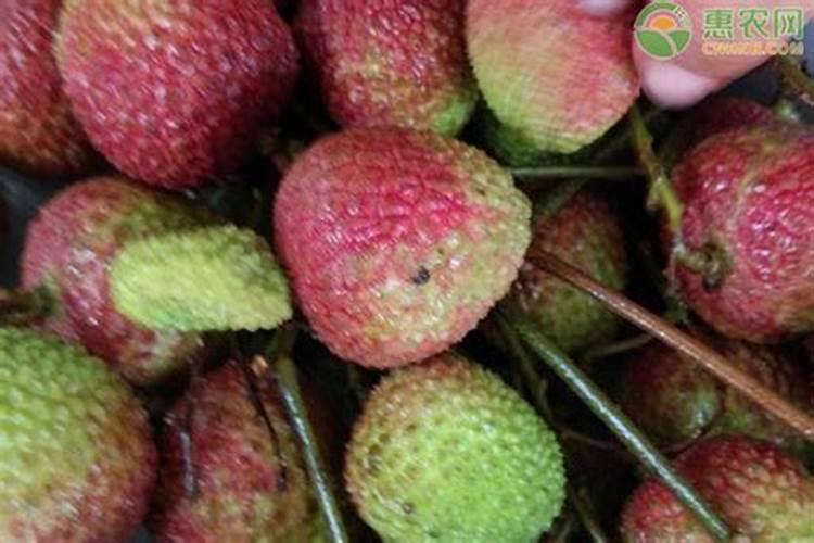 烧过的木炭能做花肥吗 炭灰是指碳烧完后的灰烬吗