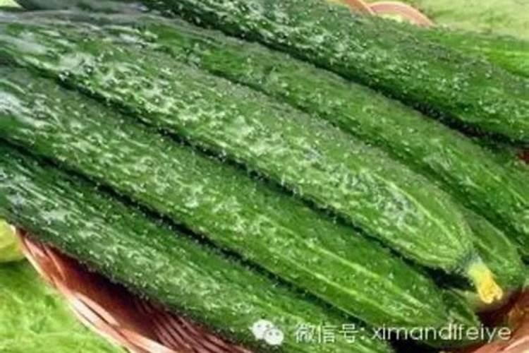种菜多久可以施肥