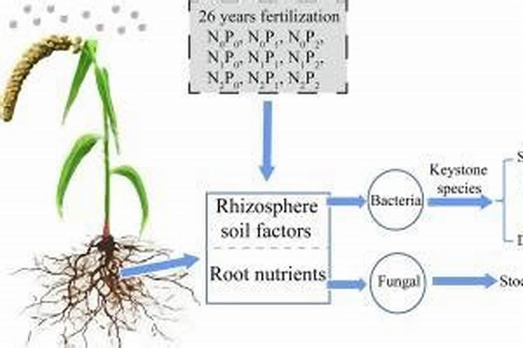 肥料可以保存多久