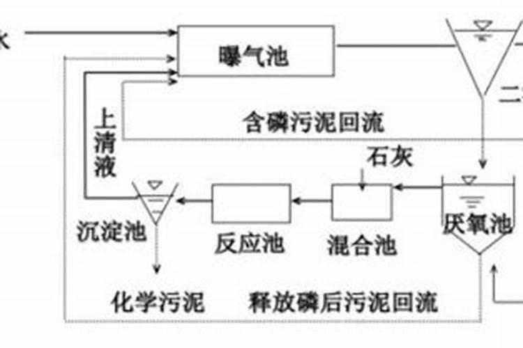 一天20吨养殖污水处理设备